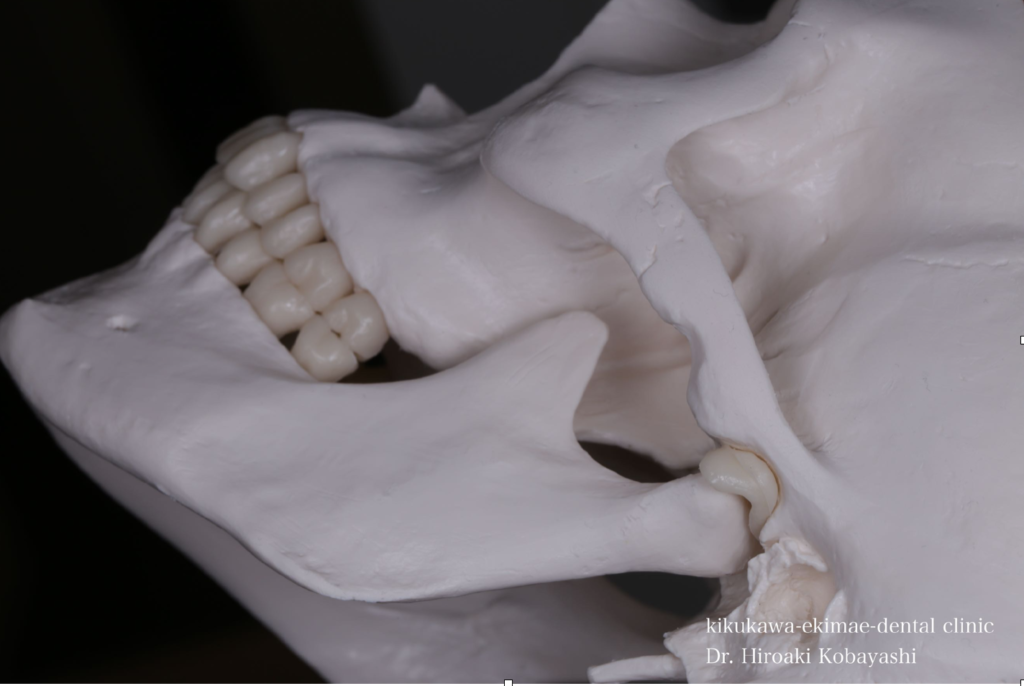 歯の病気を根本から治したい方へ